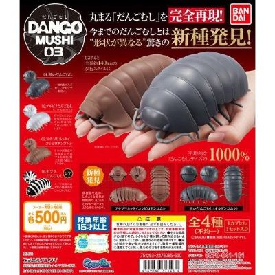 鼠妇 3 红棕古巴鼠妇篇