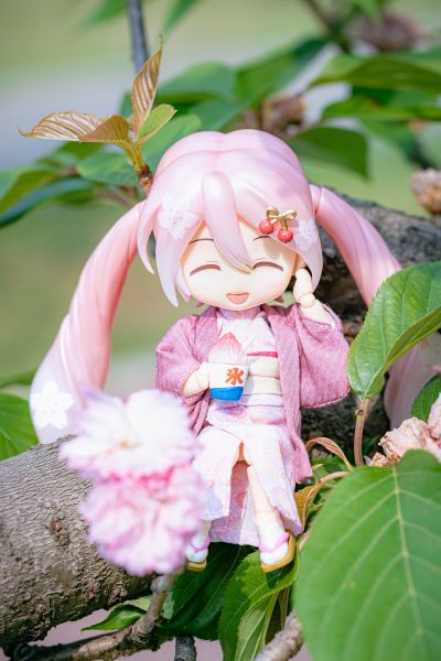 粘土娃 服装套组 和服 女孩 （粉红色/绿色）