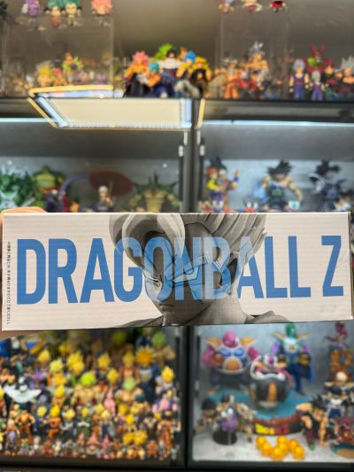 一番赏 龙珠 守护未来的决斗 C奖 孙悟饭 未来 MASTERLISE