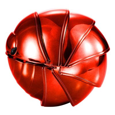 生物大图鉴系列 金属鼠妇  02