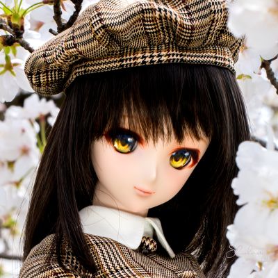 Dollfie Dream DD 白色相簿 森川由绮