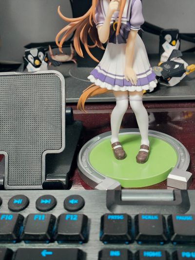 赛马娘 闪耀！优俊少女 草上飞