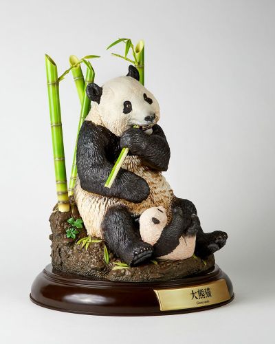 NATURE TALES 大熊猫