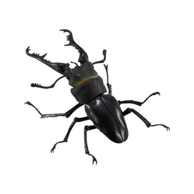 生物大图鉴 锹甲