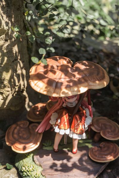 菇娘系列·No.5·如意灵芝