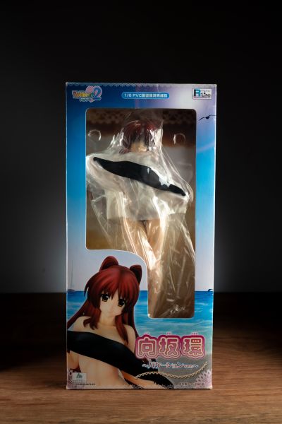 ToHeart2 向坂環 -バケーションver.- (通常版黑)