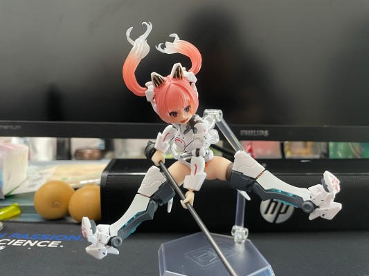 EveD系列AMBRA-02(强袭猫) 安布拉