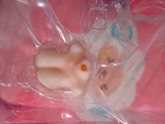 碧蓝航线 鳐（天城）