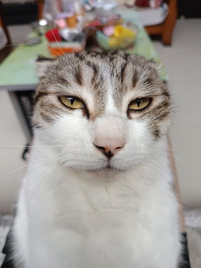 点击查看高一学生党桌面