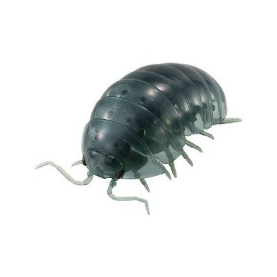 生物大图鉴 6 鼠妇 与 卷折馒头蟹