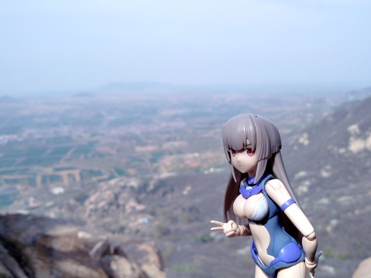 30MS 自定义发型配件5 全4种 长发4 [棕色3] ​​​​