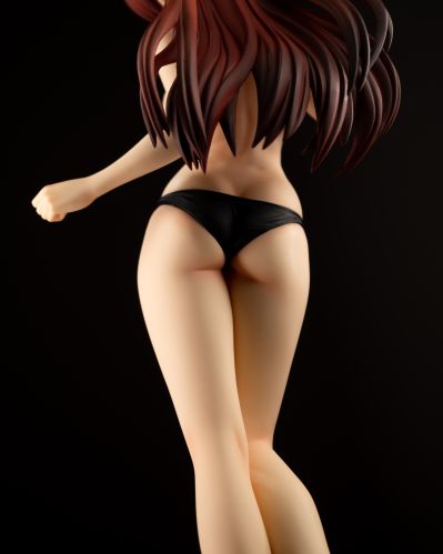 ToHeart2 向坂環 -バケーションver.- (通常版黑)