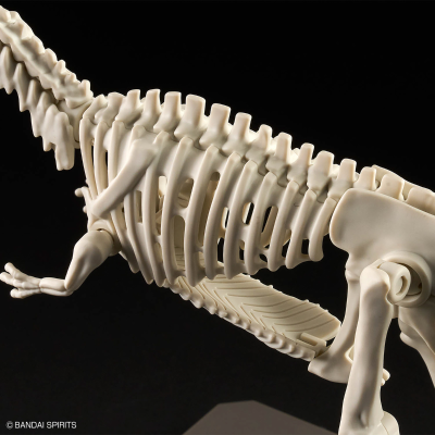 恐龙拼装模型 巨兽龙