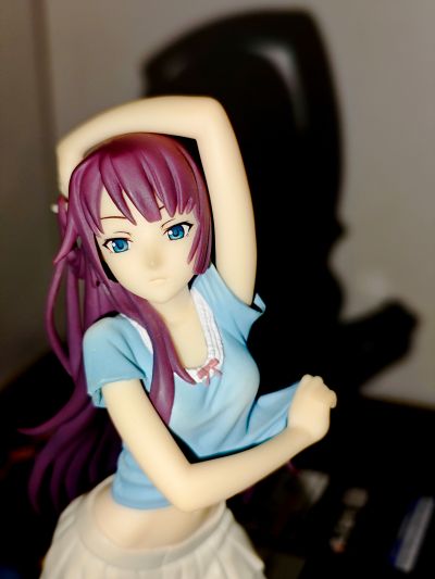 DXF 手办 伪物语 战场原黑仪