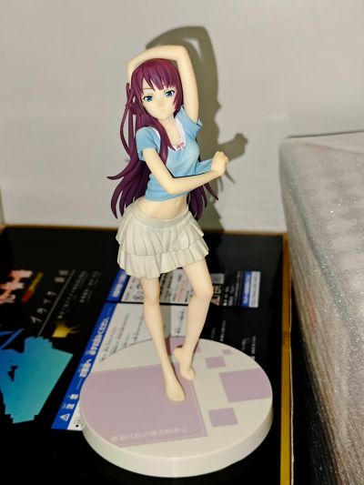 DXF 手办 伪物语 战场原黑仪