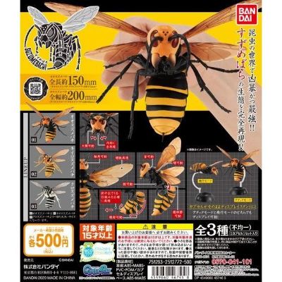 生物大图鉴 胡蜂亚种