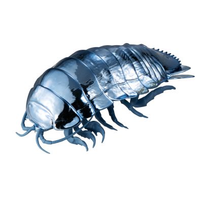 生物大图鉴 金属色 大王具足虫 3只套装