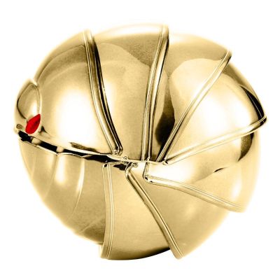 生物大图鉴系列 金属鼠妇  02