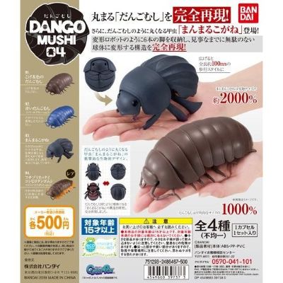 生物大图鉴 鼠妇04 鼠妇 和 球驼金龟甲