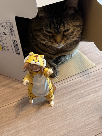 Palette 我家的猫是可爱女孩 换装系列 老虎黄豆粉