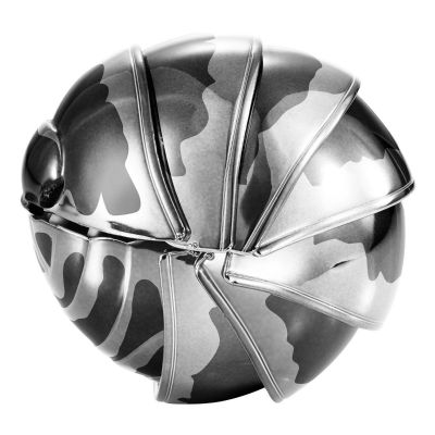 生物大图鉴系列 金属鼠妇  02