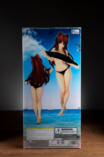 ToHeart2 向坂環 -バケーションver.- (通常版黑)