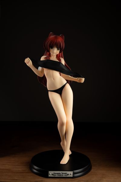 ToHeart2 向坂環 -バケーションver.- (通常版黑)