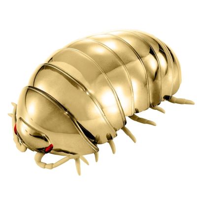 生物大图鉴系列 金属鼠妇  02