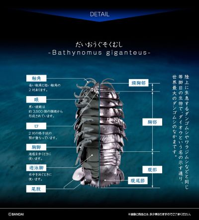 生物大图鉴 金属色 大王具足虫 3只套装