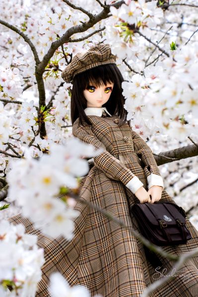 Dollfie Dream DD 白色相簿 森川由绮