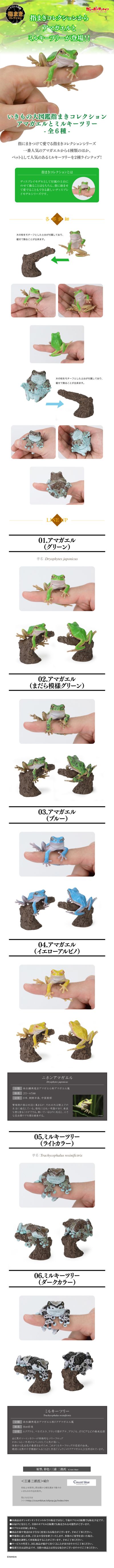 生物大图鉴 卷手指系列 东北雨蛙 与 牛奶树蛙