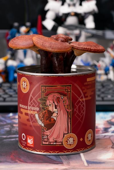 菇娘系列·No.5·如意灵芝