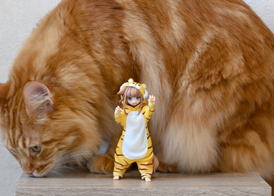 Palette 我家的猫是可爱女孩 换装系列 老虎黄豆粉