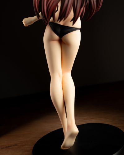 ToHeart2 向坂環 -バケーションver.- (通常版黑)