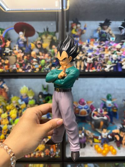 一番赏 龙珠 守护未来的决斗 D奖 贝吉塔 MASTERLISE