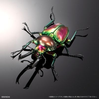 高级生物大图鉴 白金蜣螂 与 彩虹锹甲 展示架套装