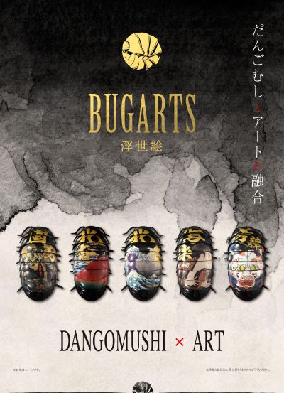 生物大图鉴 鼠妇 BUGARTS 浮世绘