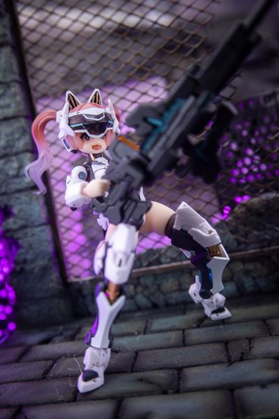 EveD系列AMBRA-02(强袭猫) 安布拉