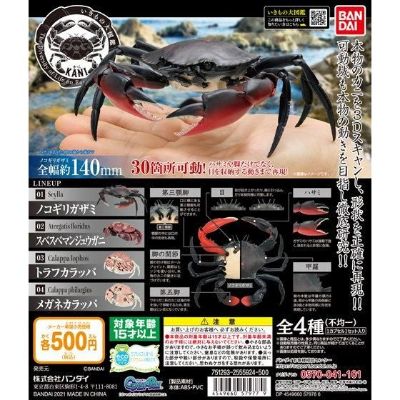 生物大图鉴 螃蟹