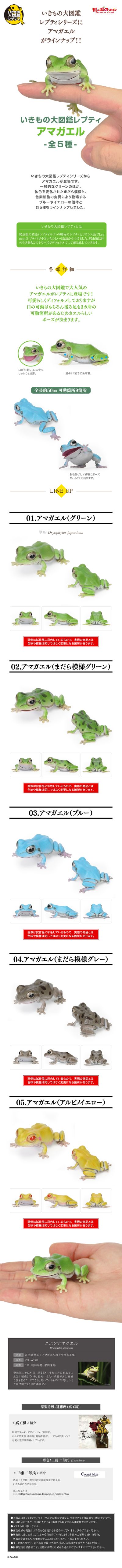 爬行生物大图鉴 东北雨蛙