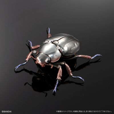 高级生物大图鉴 白金蜣螂 与 彩虹锹甲 展示架套装