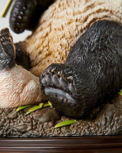 NATURE TALES 大熊猫