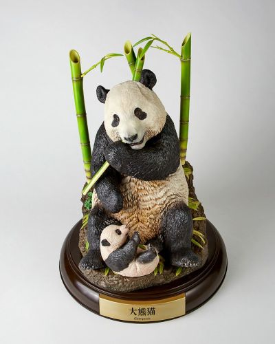 NATURE TALES 大熊猫