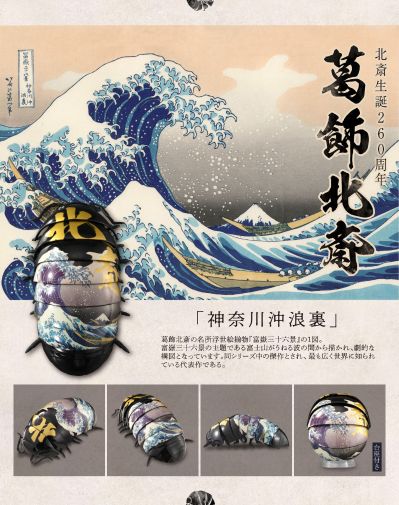 生物大图鉴 鼠妇 BUGARTS 浮世绘