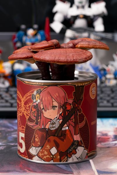 菇娘系列·No.5·如意灵芝