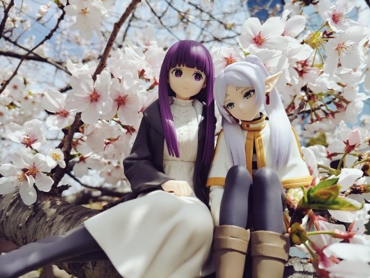 葬送的芙莉莲 菲伦