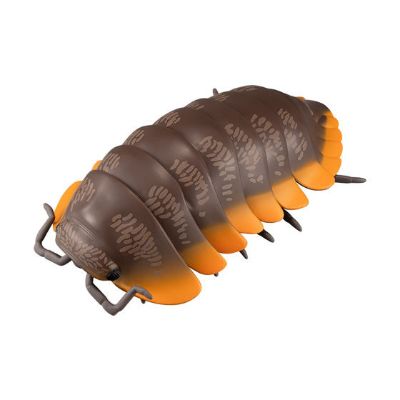 生物大图鉴 鼠妇04 鼠妇 和 球驼金龟甲