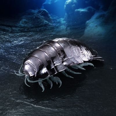 生物大图鉴 金属色 大王具足虫 3只套装