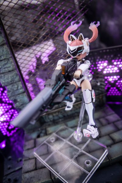 EveD系列AMBRA-02(强袭猫) 安布拉