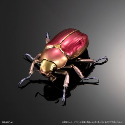 高级生物大图鉴 白金蜣螂 与 彩虹锹甲 展示架套装